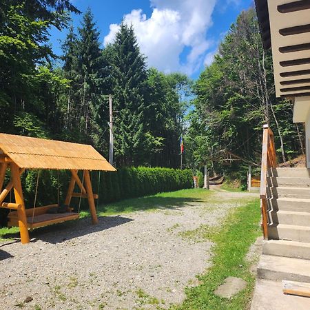 Cabana Valea Bradului Nucşoara Exteriér fotografie