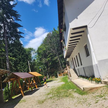 Cabana Valea Bradului Nucşoara Exteriér fotografie