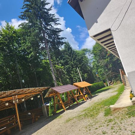 Cabana Valea Bradului Nucşoara Exteriér fotografie