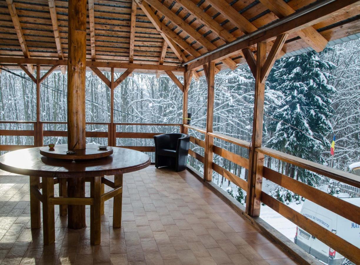 Cabana Valea Bradului Nucşoara Exteriér fotografie