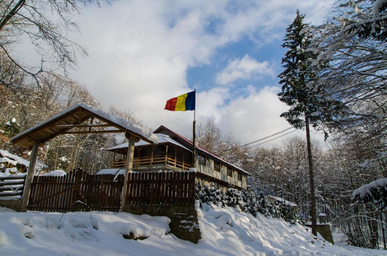 Cabana Valea Bradului Nucşoara Exteriér fotografie