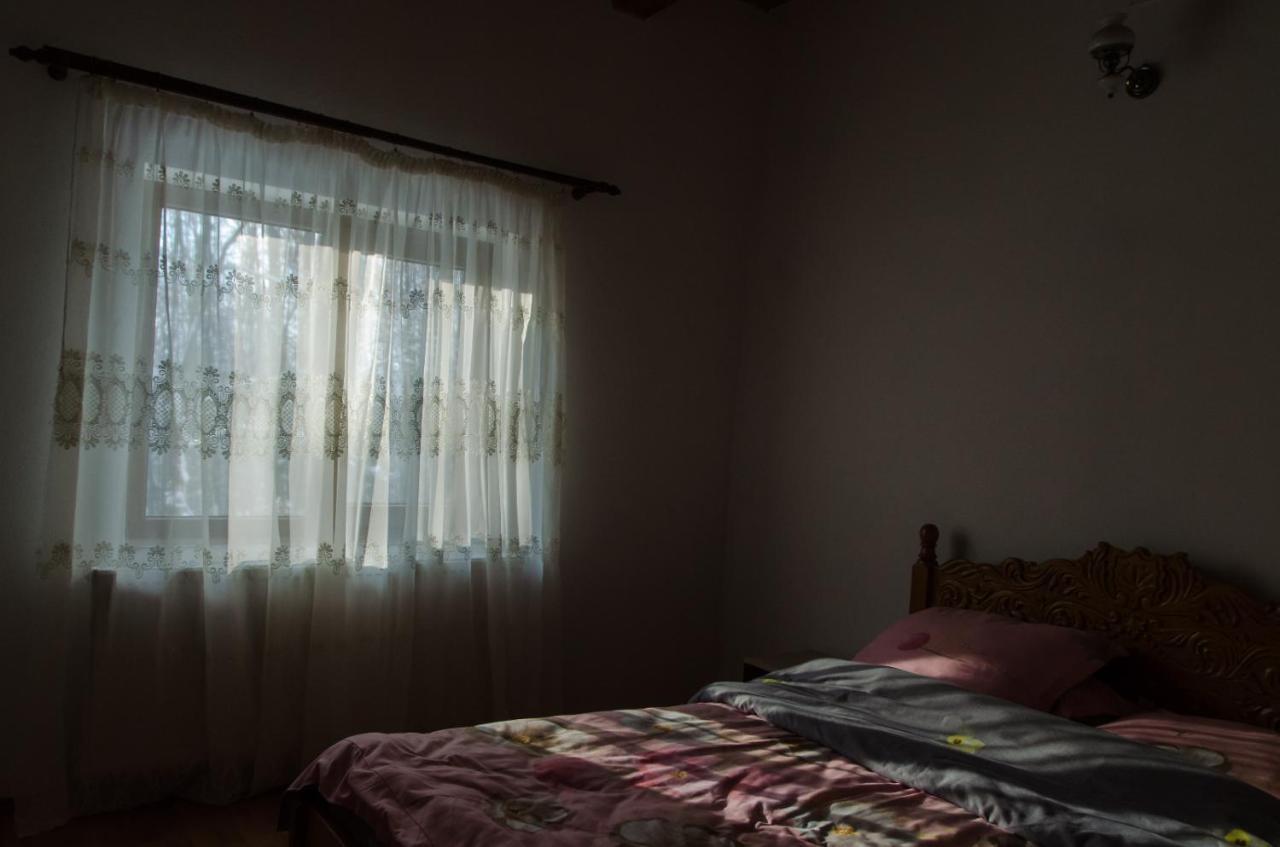 Cabana Valea Bradului Nucşoara Exteriér fotografie
