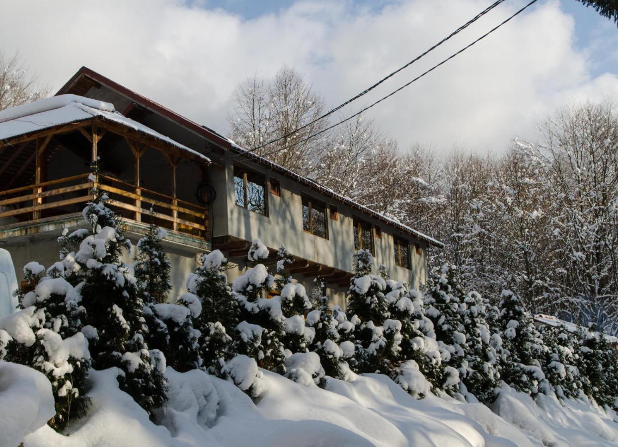 Cabana Valea Bradului Nucşoara Exteriér fotografie
