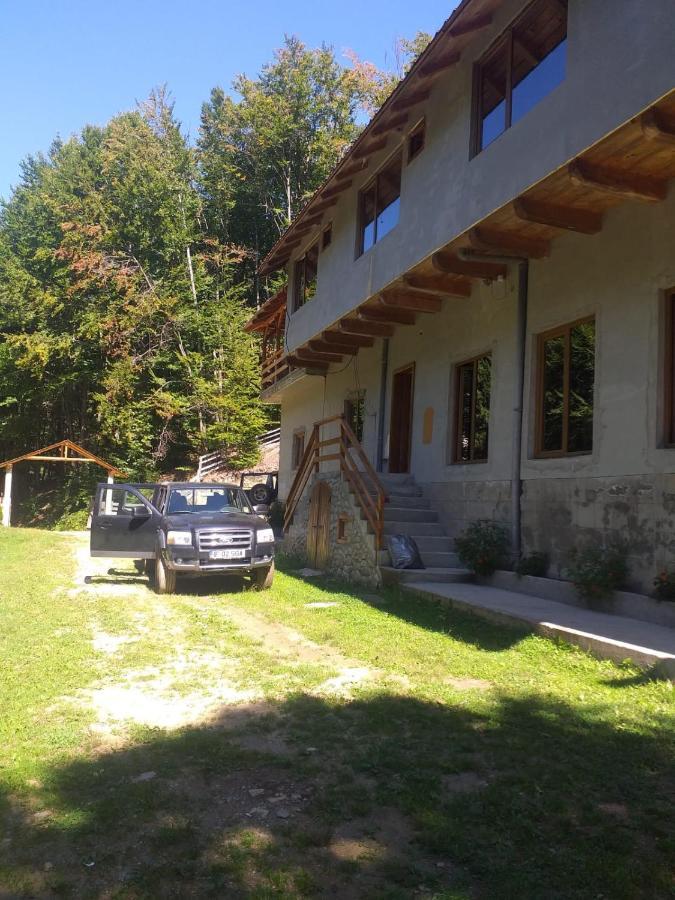 Cabana Valea Bradului Nucşoara Exteriér fotografie