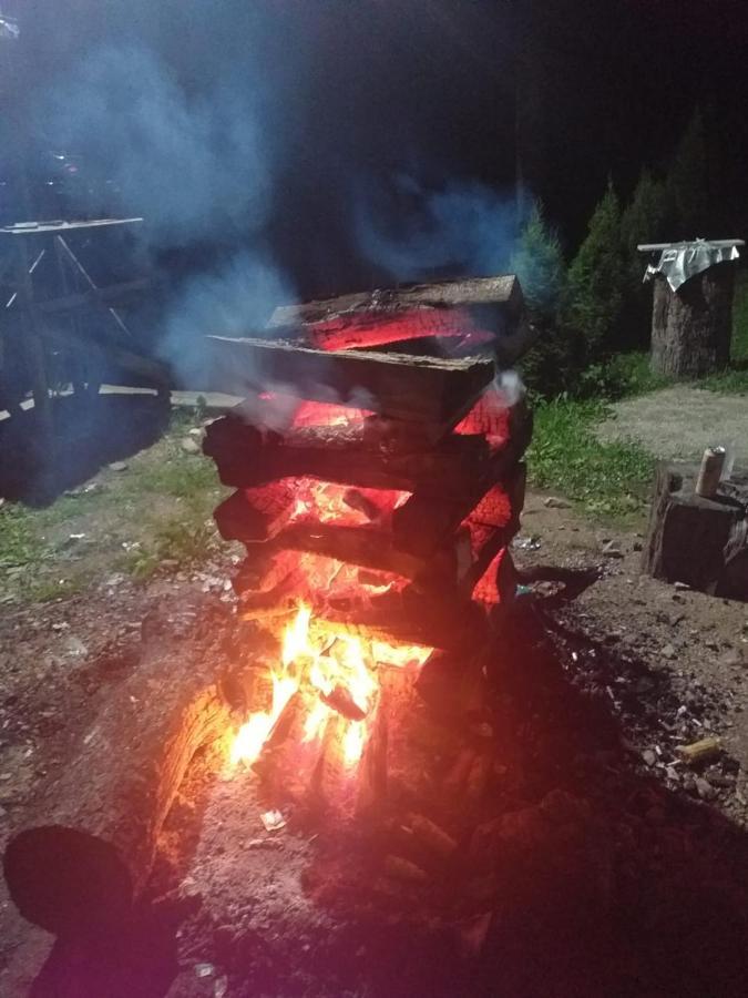 Cabana Valea Bradului Nucşoara Exteriér fotografie