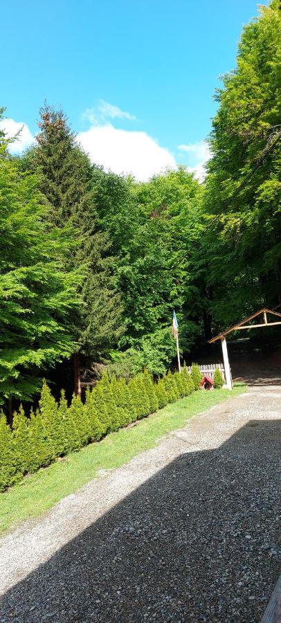 Cabana Valea Bradului Nucşoara Exteriér fotografie