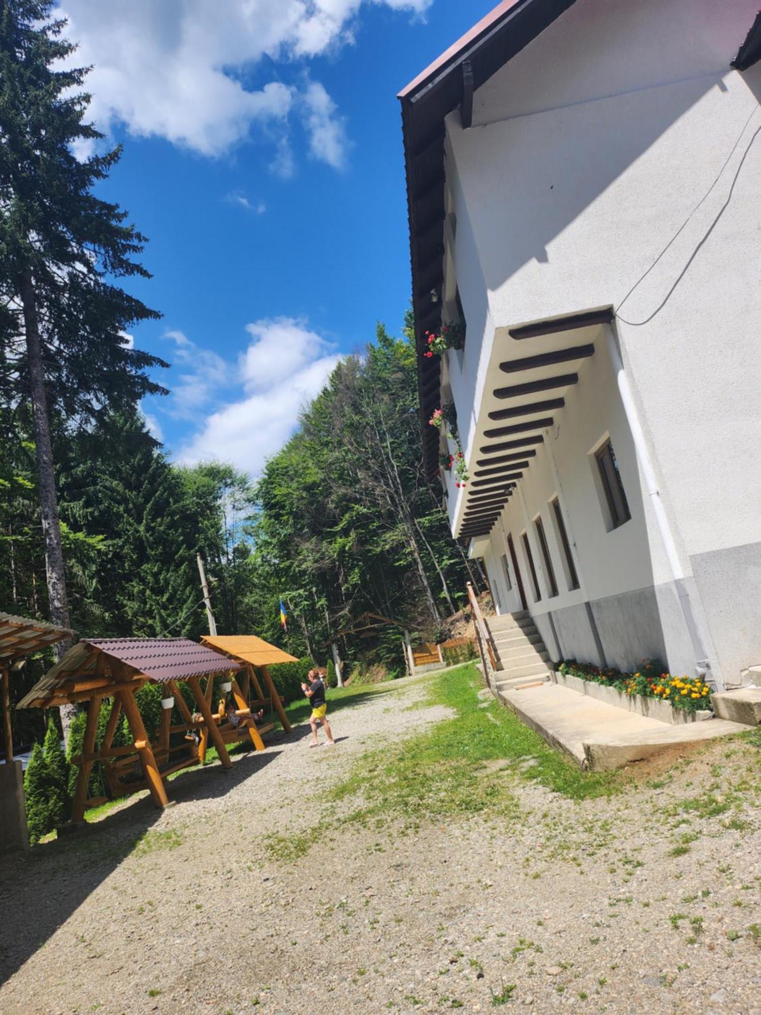 Cabana Valea Bradului Nucşoara Exteriér fotografie