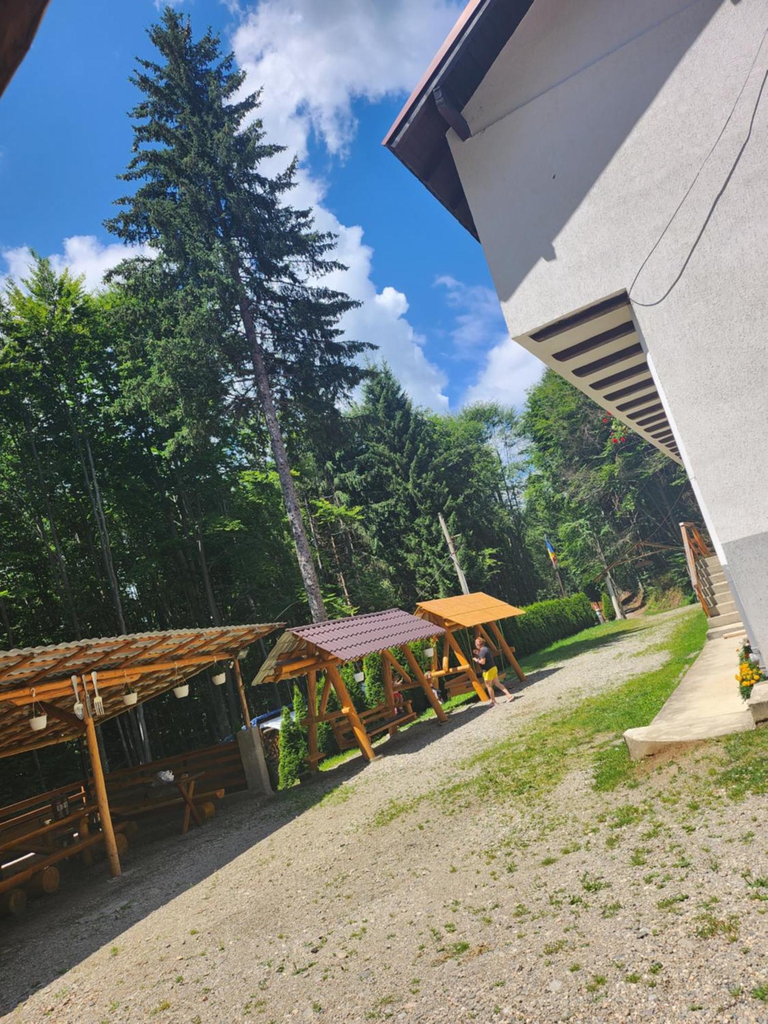 Cabana Valea Bradului Nucşoara Exteriér fotografie